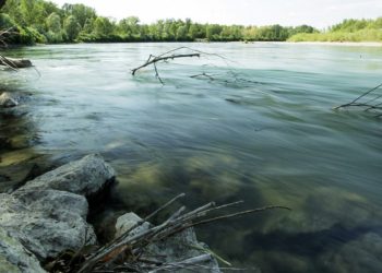 UNESCO u srijedu proglašava rezervat biosfere Mura-Drava-Dunav!