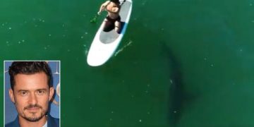 VIDEO: Orlando Bloom našao se u blizini velike bijele psine, ovo je njegova reakcija