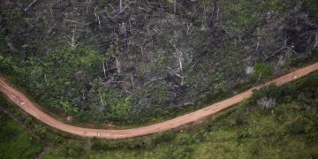 Autohtono stanovništvo poziva svijet da se snažnije angažira na zaštiti Amazone!