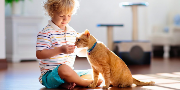 Kako mačke utječu na odgoj djeteta i kako stvoriti atmosferu za suživot?