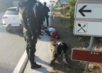Zločinačka se naposljetku nagodila a šefa zakopala