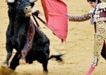 Meksiko je donio odluku o zabrani borbi s bikovima