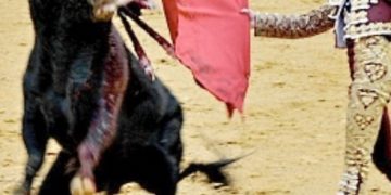 Meksiko je donio odluku o zabrani borbi s bikovima