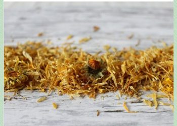 Kako pripremiti čaj od nevena