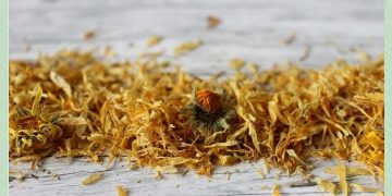 Kako pripremiti čaj od nevena