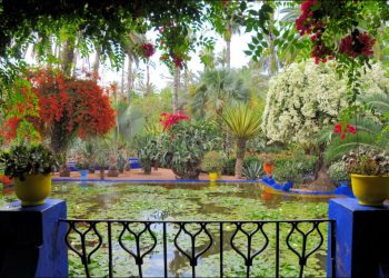 Najljepši botanički vrtovi svijeta