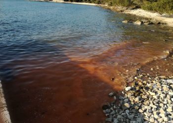 Zelena Istra: ‘U pet godina više od 350 prijava o devastaciji obale’