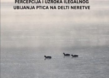 Ilegalno ubijanje ptica u dolini Neretve