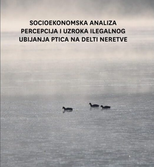 Ilegalno ubijanje ptica u dolini Neretve