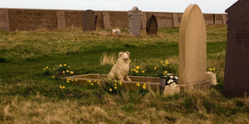 Priča o psu koji je 4 dana ispod ruševina održavao malu bebu na životu!