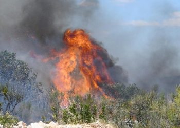 Veliki požar kod Šibenika, ljude spašavaju brodovima