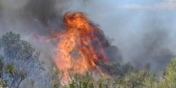 Veliki požar kod Šibenika, ljude spašavaju brodovima