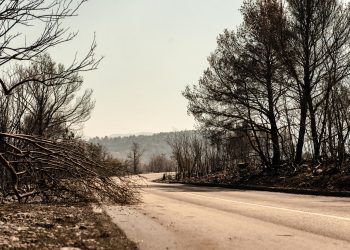 Spaljena zemlja: Dan poslije u Zatonu i Raslini