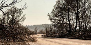 Spaljena zemlja: Dan poslije u Zatonu i Raslini