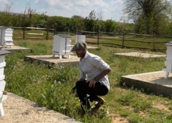David Beckham našao novi posao