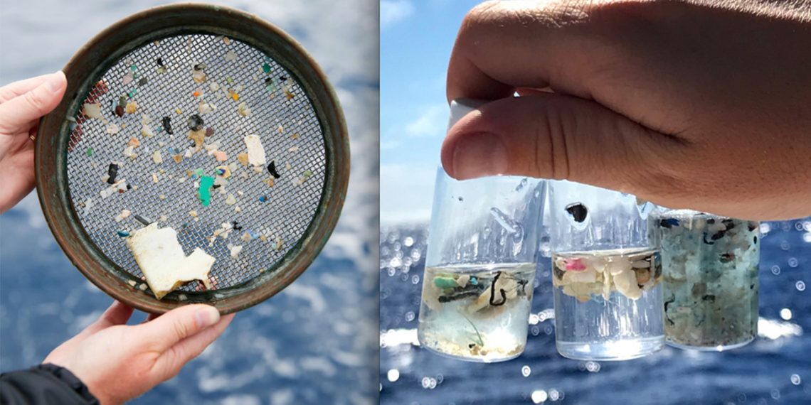 Službeno: Odavno smo otrovani plastikom i posljedice su neizvjesne.