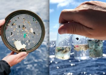 Službeno: Odavno smo otrovani plastikom i posljedice su neizvjesne.