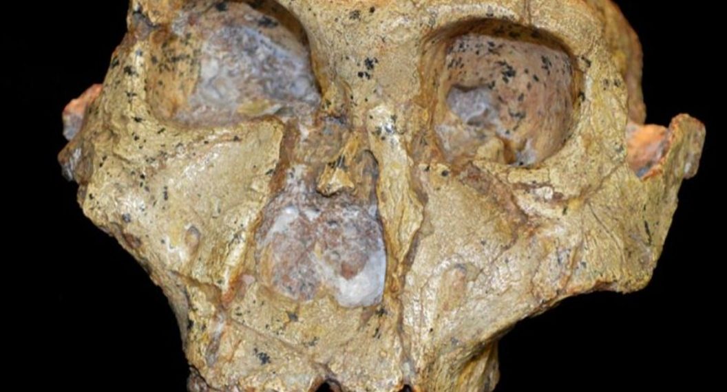 Znanstvenici rade na dobivanju pravog fosilnog zapisa o ljudskoj evoluciji