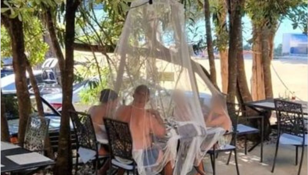 Porodica sa Jadrana postala hit na mrežama zbog patenta za zaštitu od komaraca