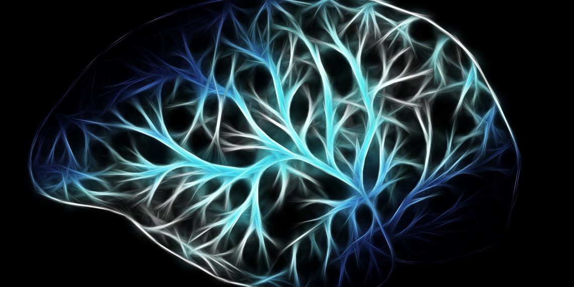 Znanstvenici istražuju djelovanje živčanog sustava povezano s PTSP-om i drugim poremećajima mentalnog zdravlja