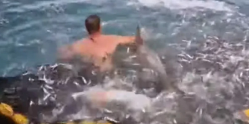 Ribari iz Rijeke spasili dupina koji se zapleo u mrežu (VIDEO)