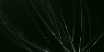 Slavimo 10 godina od otkrića Higgsovog bozona