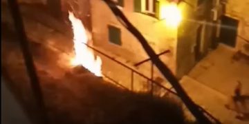 Snimljen piroman u šibenskom Kvartiru: Zapalio raslinje i utekao prije dolaska policije