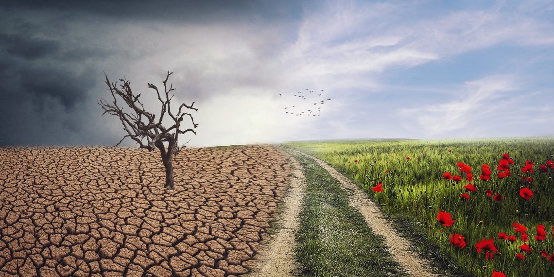 Što upravlja evolucijom: život ili klima?