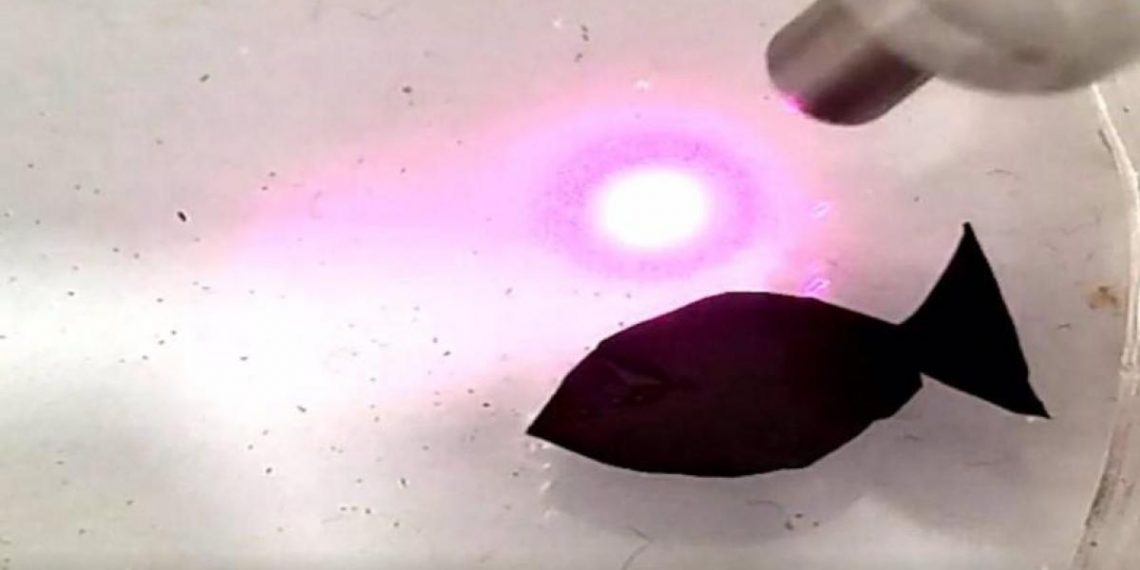 Nije sve crno! Kineska svijest o ekologiji stvorila robotske ribe koje gutaju mikroplastiku