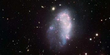 Nema tragova aureola tamne tvari