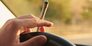 Istraživanje je pokazalo da napušeni vozači rjeđe doživljavaju prometne nesreće od vozača pod utjecajem alkohola