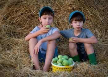 Djeca koja odrastaju na selu imaju manje šanse razviti mentalne bolesti