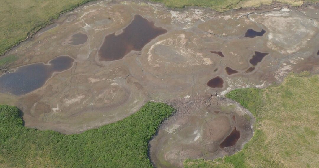 Arktička jezera nestaju u iznenađujućem klimatskom otkriću