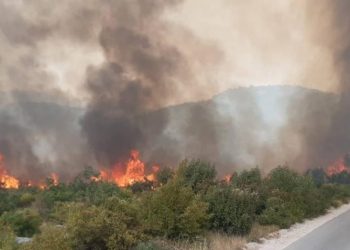 Veliki požar u Neumu: Ugroženi dalekovodi, potrebna pomoć iz zraka