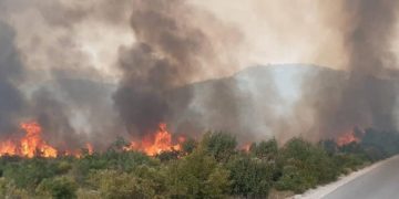 Veliki požar u Neumu: Ugroženi dalekovodi, potrebna pomoć iz zraka