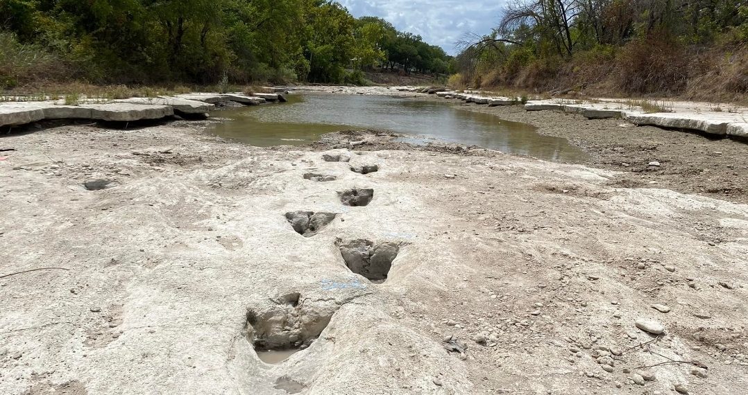 U SAD-u suša otkrila tragove dinosaura stare 113 milijuna godina