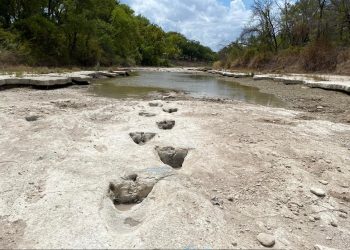 U SAD-u suša otkrila tragove dinosaura stare 113 milijuna godina
