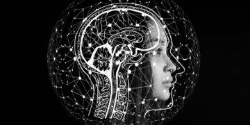 Pojedinci cijene informacije kao što cijene materijalne objekte