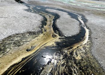 Električne bakterije mogu pomoći u čišćenju izlijevanja nafte i suzbiti emisije metana