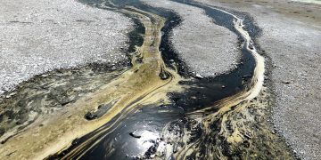 Električne bakterije mogu pomoći u čišćenju izlijevanja nafte i suzbiti emisije metana