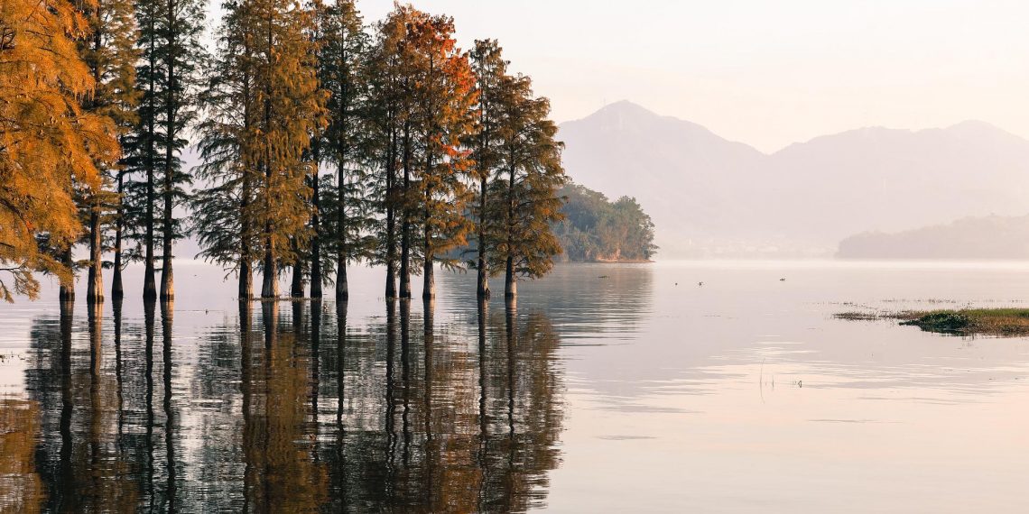 Čak i najmanje klimatske promjene mogu dovesti do sveobuhvatnih promjena u najsjevernijim šumama