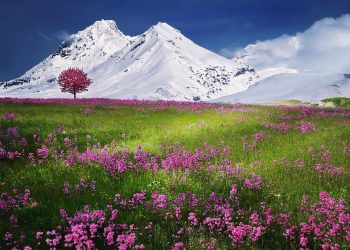 Austrijski znanstvenici užurbano otkrivaju tajne topljenja ledenjaka