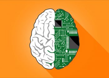 Stimulacija mozga poboljšava pamćenje na mjesec dana