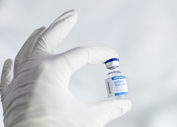Počinje veliko testiranje prvog mogućeg cjepiva protiv Lymea u 20 godina