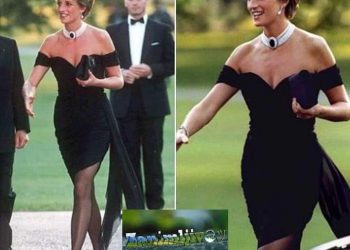 Osvetnička haljina: Kako se princeza Diana suprotstavila kraljevskoj obitelji