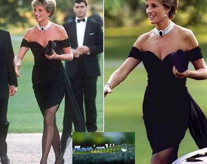 Osvetnička haljina: Kako se princeza Diana suprotstavila kraljevskoj obitelji