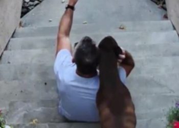 Čovjek uslikao selfie sa svojim psom ne sluteći da će mu to postati najdragocjenija uspomena