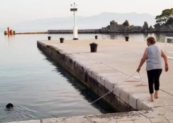 Ova fotografija iz Dalmacije postala je viralna: Pas pliva u moru, a vlasnica s uzicom šeta pored njega