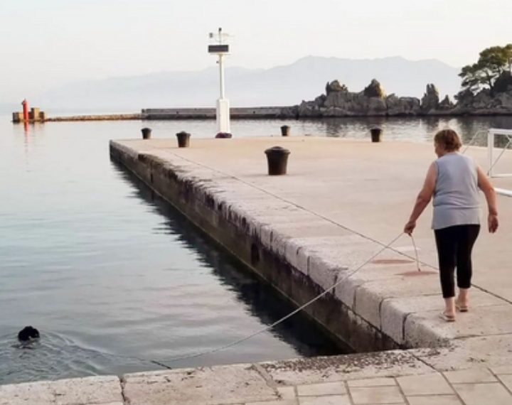Ova fotografija iz Dalmacije postala je viralna: Pas pliva u moru, a vlasnica s uzicom šeta pored njega