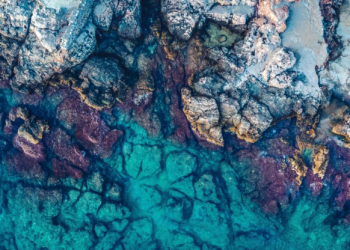 U Jadranu 60 vrsta morskih pasa i raža, 70 posto ih je ugroženo